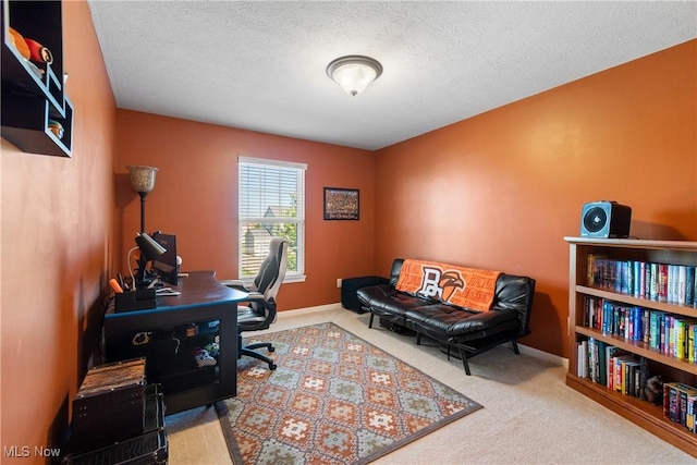 4276 Brownstone Ln, Medina, OH 44256 - office space featuring carpet floors and a textured ceiling