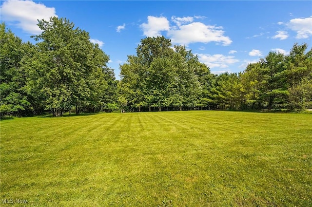 662 Beech Ave, Youngstown, OH 44512 - view of green lawn with a forest view