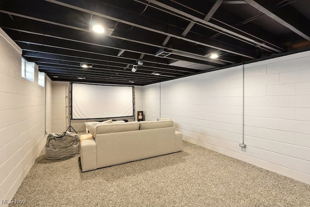 13806 Carpenter Rd, Garfield Heights, OH 44125 - view of cinema room