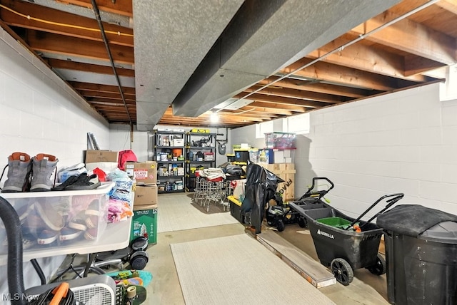 13806 Carpenter Rd, Garfield Heights, OH 44125 - below grade area with concrete block wall