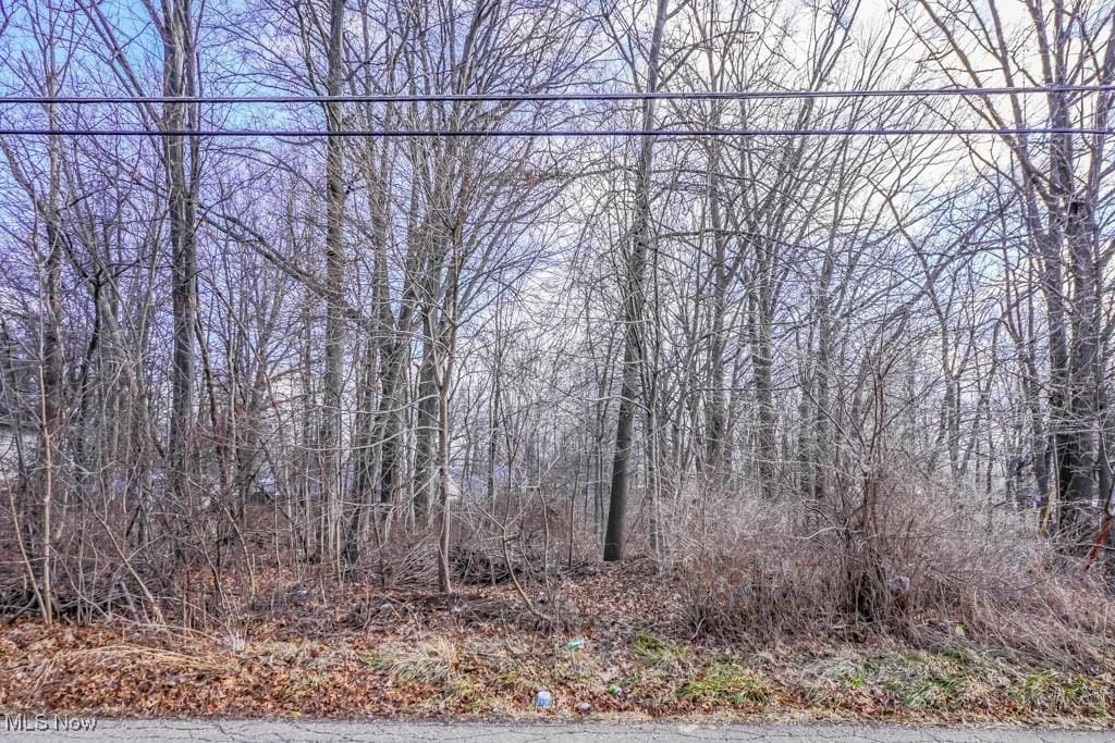 000 Klinger Ave, Alliance, OH 44601 - photo 1