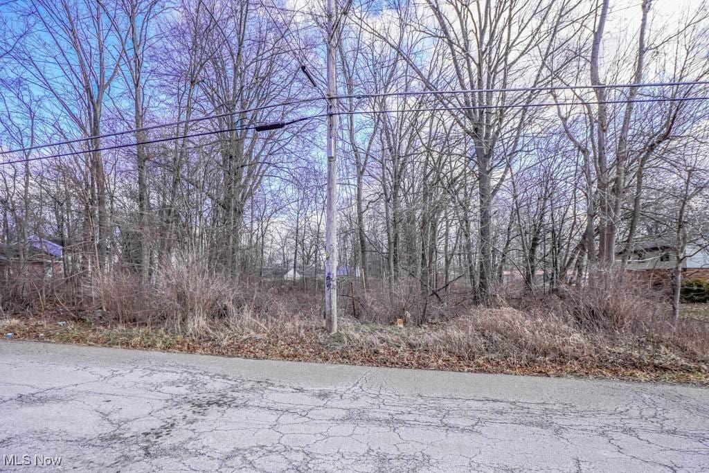 000 Klinger Ave, Alliance, OH 44601 - photo 4