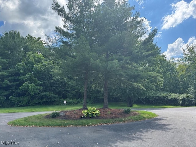 3871 Northwoods Ct NE, Warren, OH 44483 - photo 19