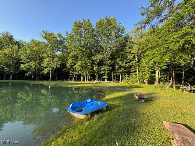 5919 N Bend Rd, Ashtabula, OH 44004 - view of grassy yard with a water view