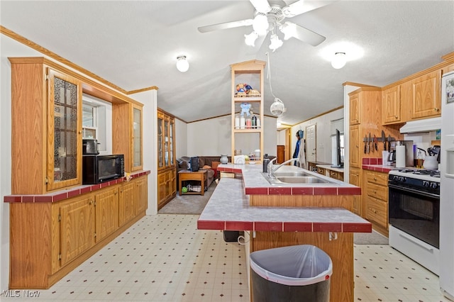 11 Brookins Dr, Olmsted Twp, OH 44138 - kitchen with gas range, black microwave, a peninsula, tile countertops, and lofted ceiling