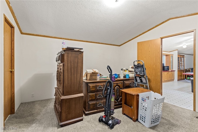 11 Brookins Dr, Olmsted Twp, OH 44138 - office featuring ornamental molding, vaulted ceiling, carpet, and a textured ceiling