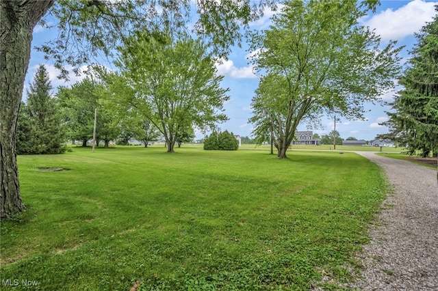 13962 Quarry Rd, Oberlin, OH 44074 - photo 7