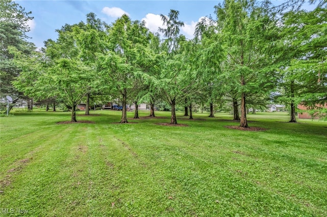 13962 Quarry Rd, Oberlin, OH 44074 - photo 39