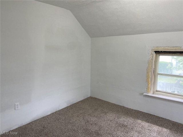 1122 W 17th St, Lorain, OH 44052 - additional living space with carpet and vaulted ceiling