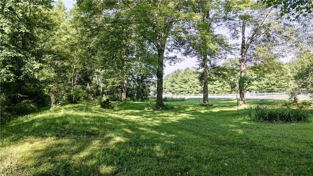 2087 Midvale Mine Rd, Dennison, OH 44621 - photo 18