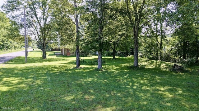 2087 Midvale Mine Rd, Dennison, OH 44621 - photo 19