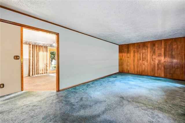 1808 Depot Rd, Salem, OH 44460 - spare room with a textured ceiling, carpet floors, and wood walls