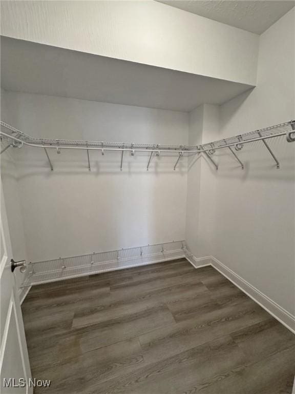 32054 Tuscan Ln Unit L-2, Avon Lake, OH 44012 - walk in closet with dark wood-style floors
