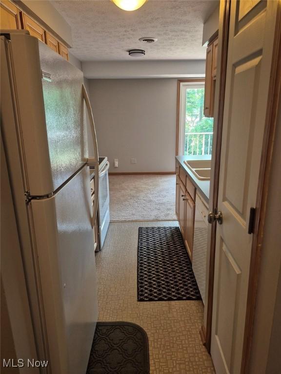 4360 Inner Circle Dr Unit C14, Brunswick, OH 44212 - kitchen with white appliances, a textured ceiling, and light colored carpet