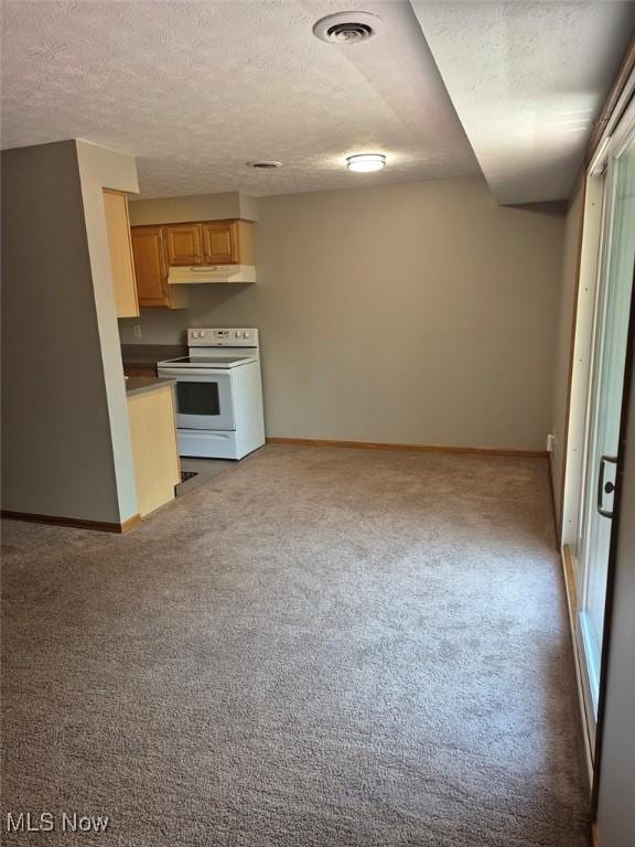 4360 Inner Circle Dr Unit C14, Brunswick, OH 44212 - kitchen with white electric range oven, under cabinet range hood, light colored carpet, a textured ceiling, and light brown cabinets