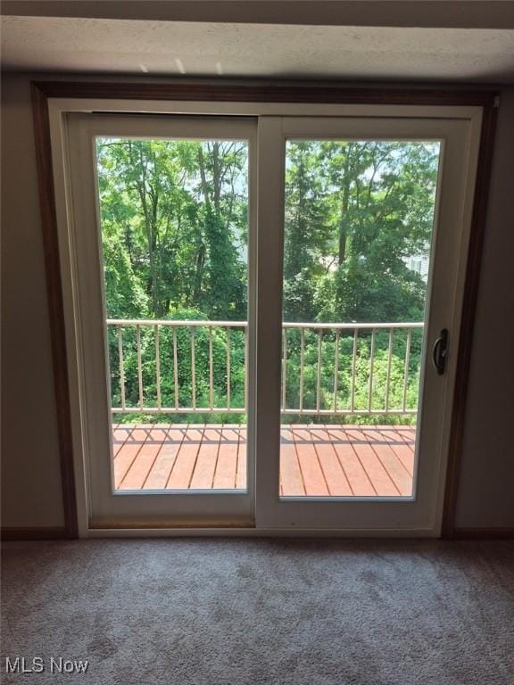4360 Inner Circle Dr Unit C14, Brunswick, OH 44212 - doorway to outside featuring carpet flooring and healthy amount of natural light