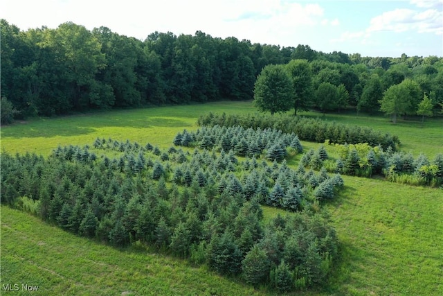 3609 State Route 225, Diamond, OH 44412 - photo 22