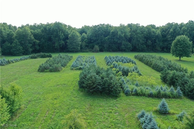 3609 State Route 225, Diamond, OH 44412 - photo 23