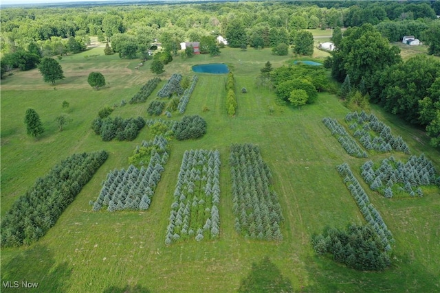 3609 State Route 225, Diamond, OH 44412 - photo 24