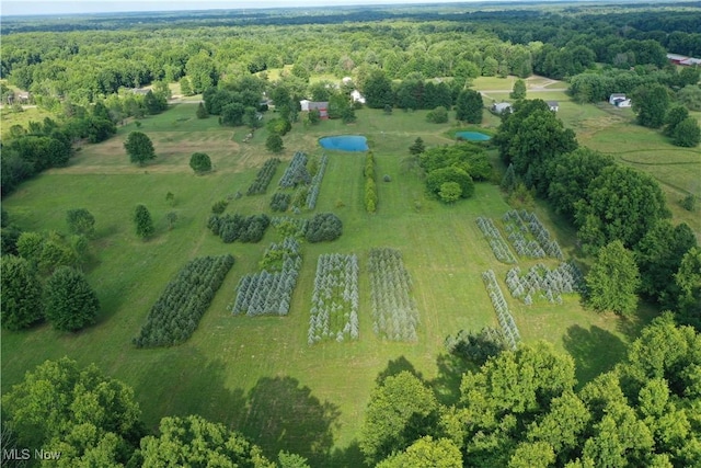 3609 State Route 225, Diamond, OH 44412 - photo 25
