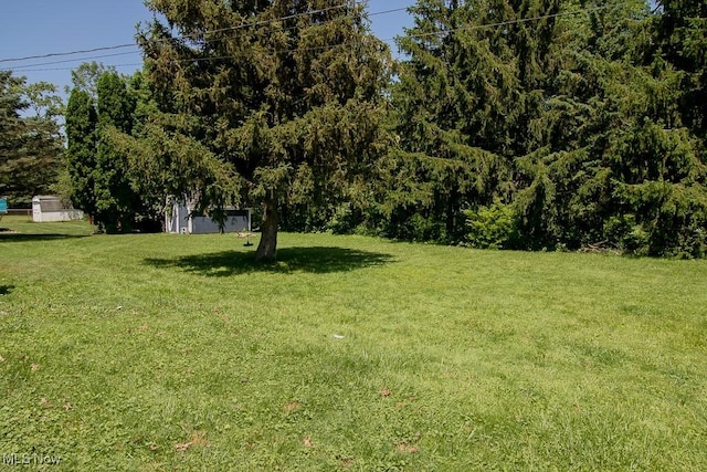7180 Reynolds Rd, Mentor, OH 44060 - photo 7