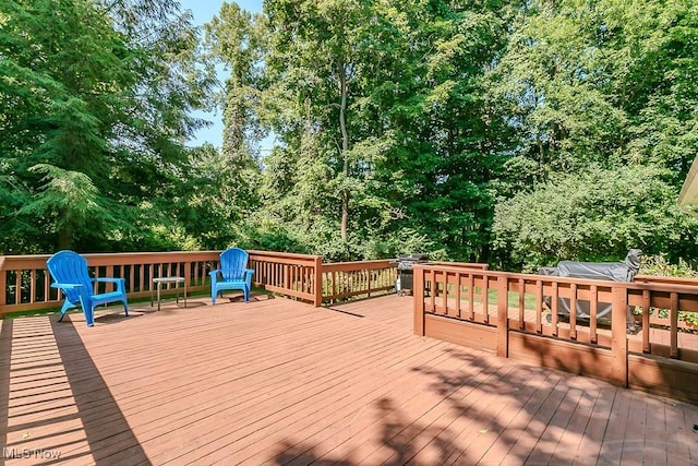 7806 Fairidge Rd, Kirtland, OH 44094 - photo 36