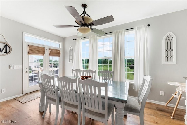 2979 Cloverhurst St NE, Canton, OH 44721 - dining room featuring light wood-style floors and ceiling fan
