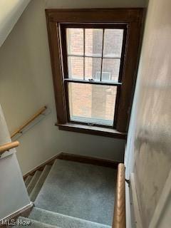 15815 Hazel Rd, East Cleveland, OH 44112 - photo 23