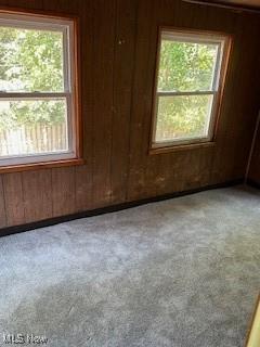 15815 Hazel Rd, East Cleveland, OH 44112 - photo 11