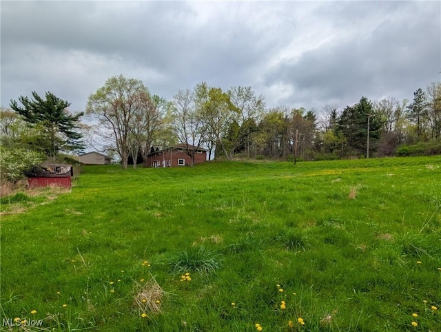 3189 Union Ave SE, Minerva, OH 44657 - view of yard