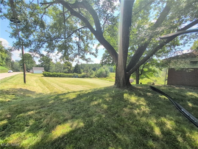 3189 Union Ave SE, Minerva, OH 44657 - view of green lawn