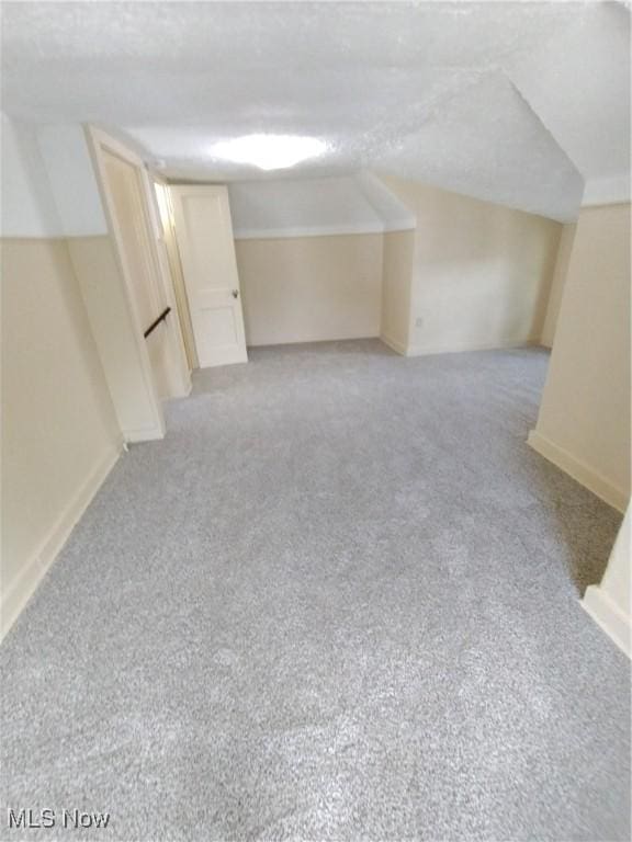 207 E Lucius Ave, Youngstown, OH 44507 - additional living space with light colored carpet and vaulted ceiling