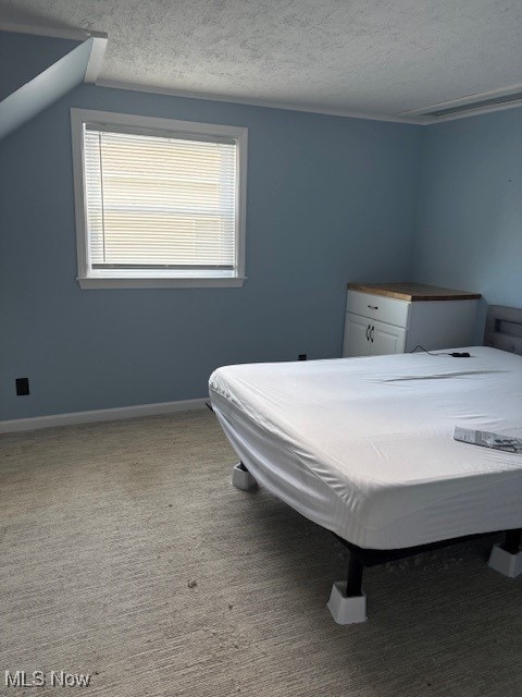 206 Fowler, Cortland, OH 44410 - bedroom with a textured ceiling, carpet, and billiards table