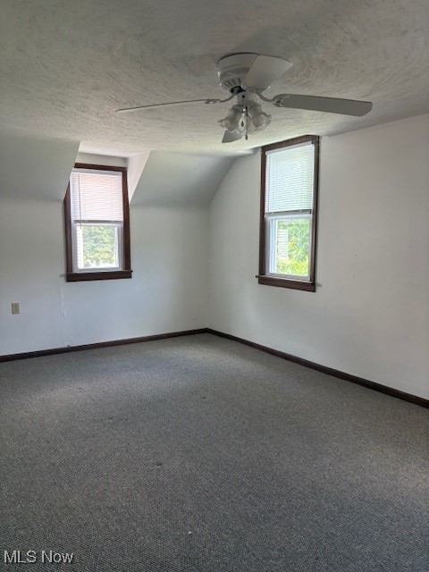 206 Fowler, Cortland, OH 44410 - bonus room featuring carpet, ceiling fan, a textured ceiling, plenty of natural light, and vaulted ceiling