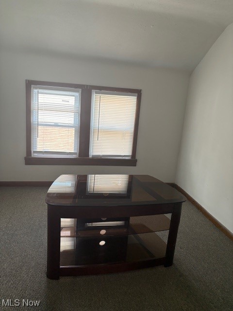 206 Fowler, Cortland, OH 44410 - detailed view of carpet and baseboards