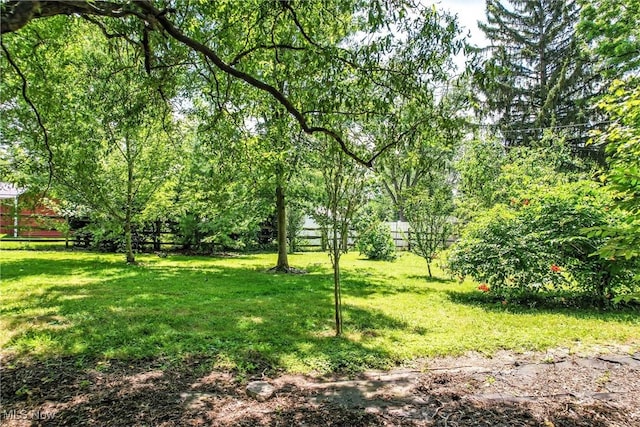 1683 Ridgewood Dr, Salem, OH 44460 - view of yard