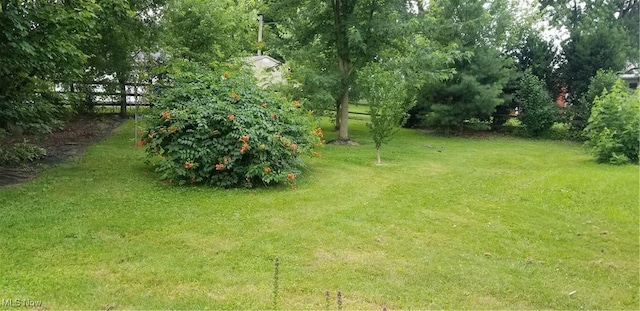 1683 Ridgewood Dr, Salem, OH 44460 - view of yard