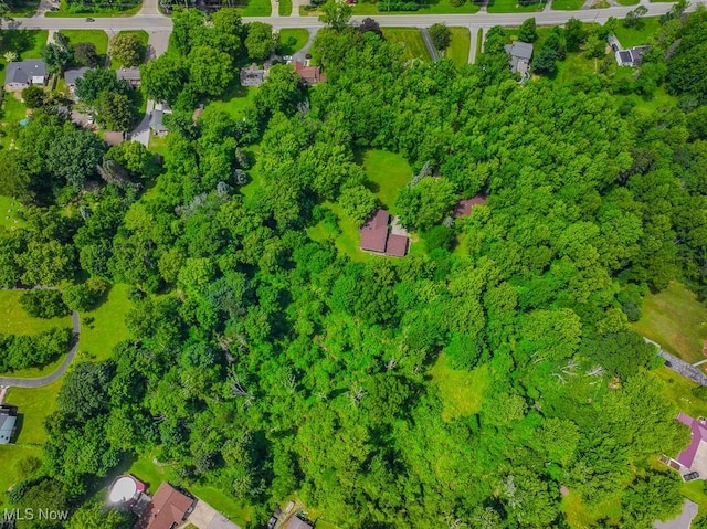 1160 Riverside Dr, Painesville, OH 44077 - photo 44