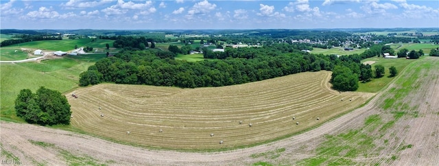 Danville Amity Rd, Danville, OH 43014 - photo 1