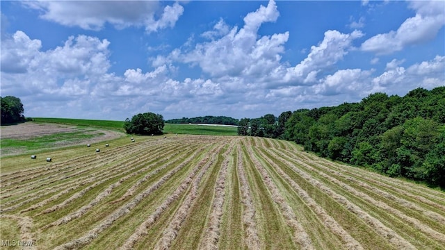 Danville Amity Rd, Danville, OH 43014 - photo 2