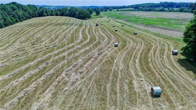 Danville Amity Rd, Danville, OH 43014 - photo 4