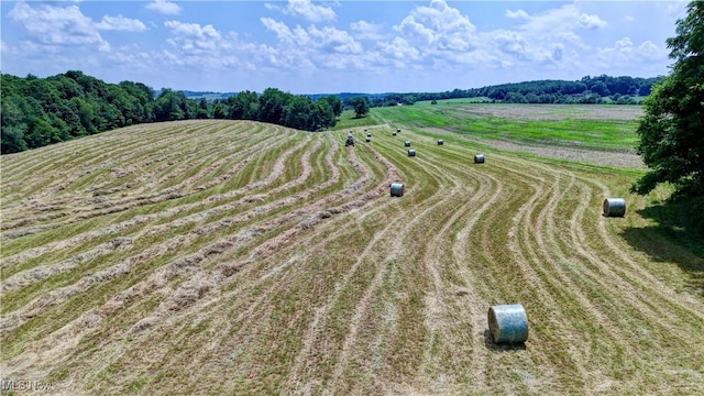Danville Amity Rd, Danville, OH 43014 - photo 5