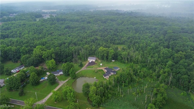 355 S Pricetown Rd, Diamond, OH 44412 - photo 32