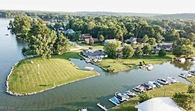 2977 Pirates Cv, Aurora, OH 44202 - aerial view of a nearby body of water