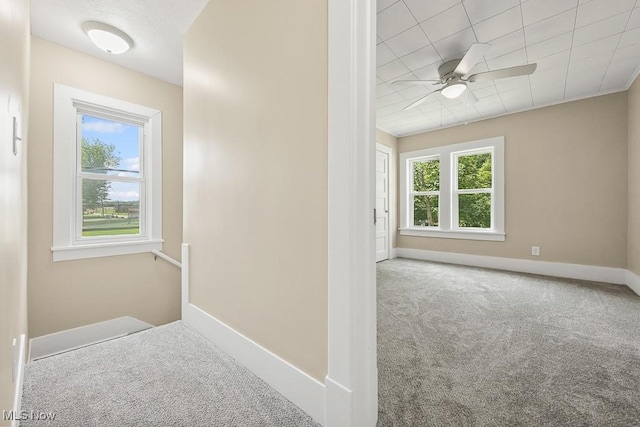 6434 Union Ave NE, Alliance, OH 44601 - hall with carpet and plenty of natural light