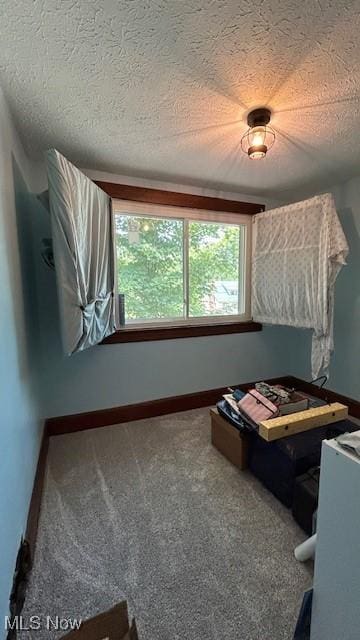4530 N Ridge Rd E, Geneva, OH 44041 - photo 9