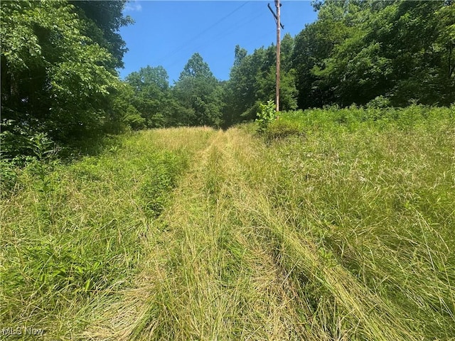 LOT2 County Rd 9, New Matamoras, OH 45767