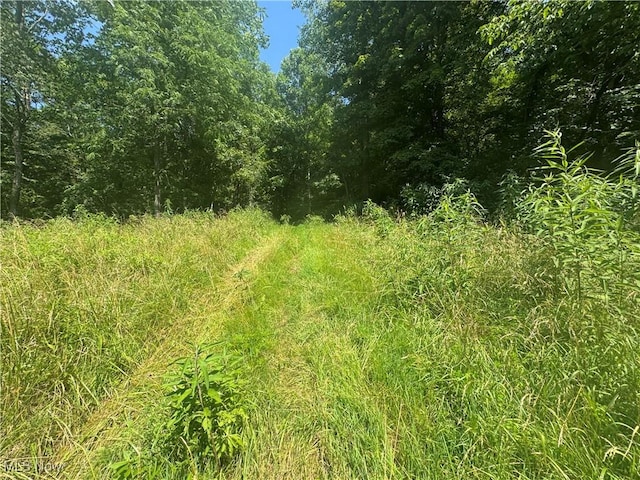 LOT2 County Rd 9, New Matamoras, OH 45767