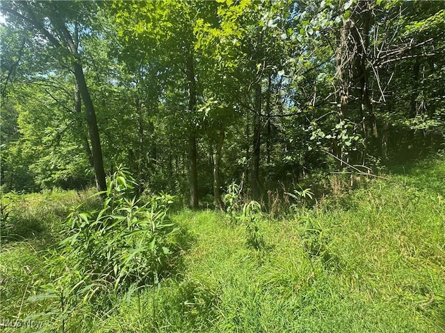 LOT2 County Rd 9, New Matamoras, OH 45767