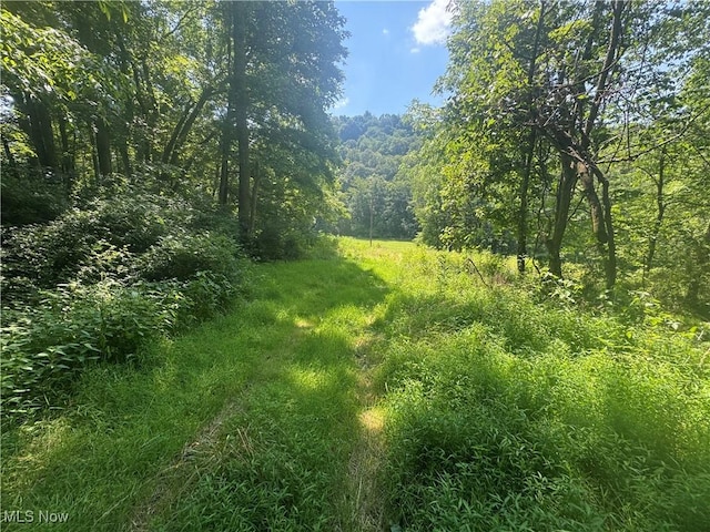 LOT2 County Rd 9, New Matamoras, OH 45767